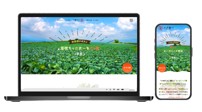 野菜宅配サービスLP